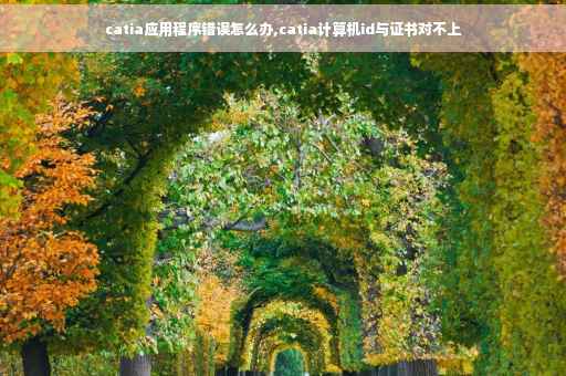 catia应用程序错误怎么办,catia计算机id与证书对不上