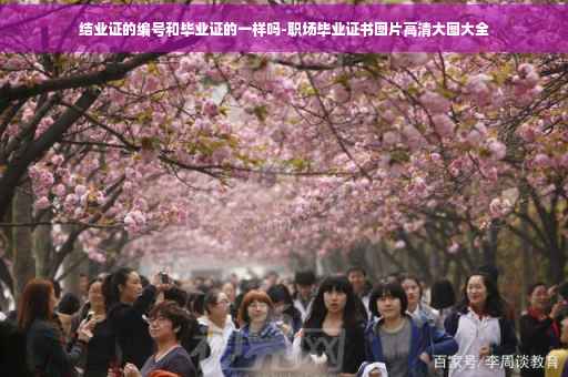 结业证的编号和毕业证的一样吗-职场毕业证书图片高清大图大全