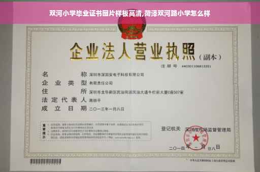 双河小学毕业证书图片样板高清,菏泽双河路小学怎么样