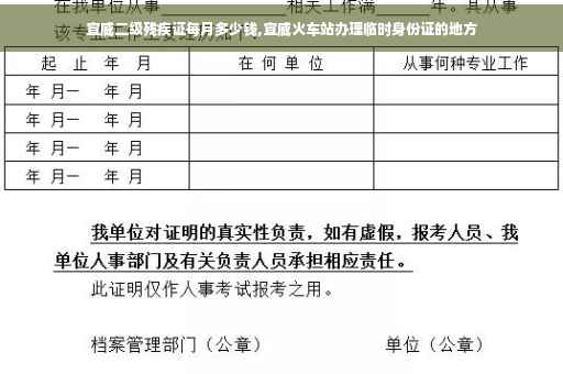 宣威二级残疾证每月多少钱,宣威火车站办理临时身份证的地方