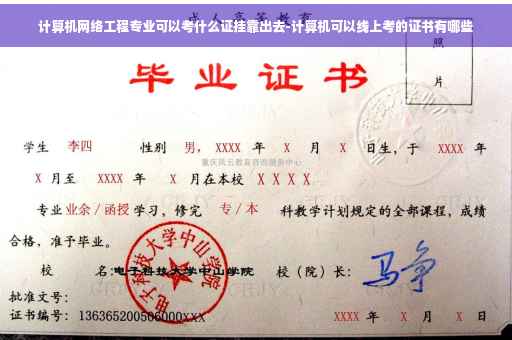 计算机网络工程专业可以考什么证挂靠出去-计算机可以线上考的证书有哪些