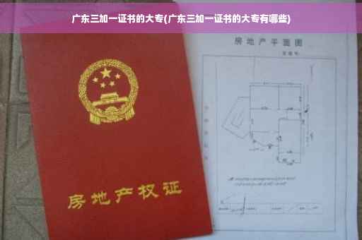 广东三加一证书的大专(广东三加一证书的大专有哪些)