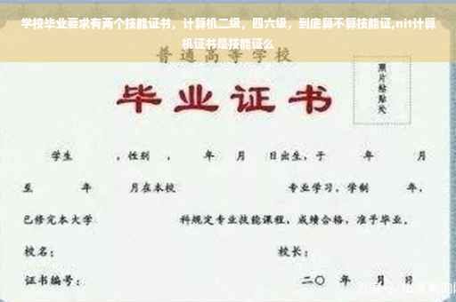 学校毕业要求有两个技能证书，计算机二级，四六级，到底算不算技能证,nit计算机证书是技能证么