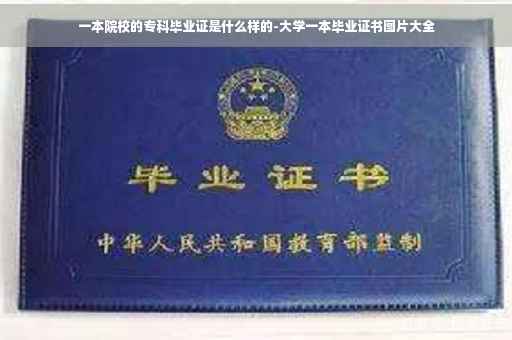 一本院校的专科毕业证是什么样的-大学一本毕业证书图片大全
