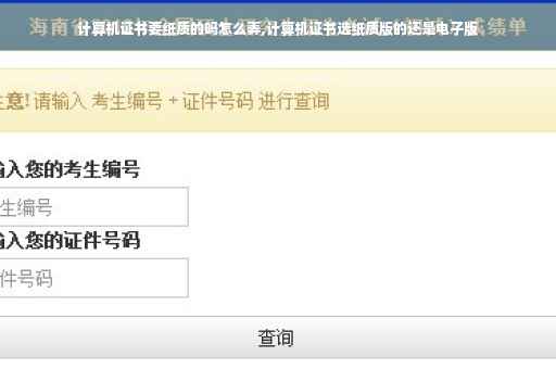 计算机证书要纸质的吗怎么弄,计算机证书选纸质版的还是电子版