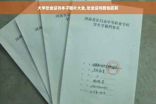 大学毕业证书本子图片大全,毕业证书颜色区别