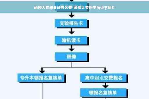 函授大专毕业证怎么查-函授大专班学历证书图片