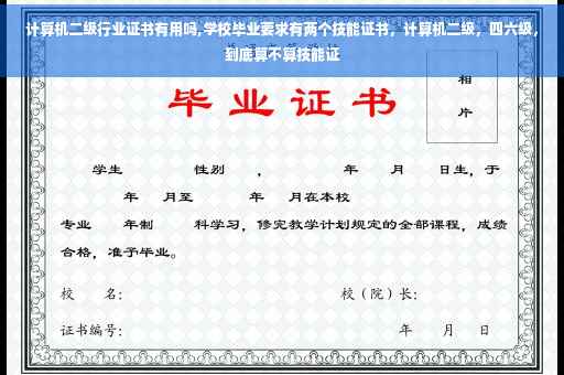 计算机二级行业证书有用吗,学校毕业要求有两个技能证书，计算机二级，四六级，到底算不算技能证