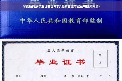 宁夏新能源毕业证书图片(宁夏新能源毕业证书图片高清)