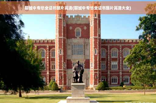 聊城中专毕业证书图片高清(聊城中专毕业证书图片高清大全)
