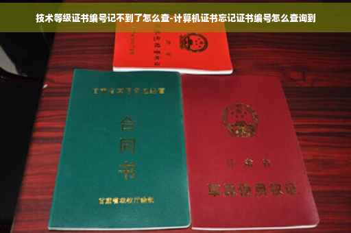 技术等级证书编号记不到了怎么查-计算机证书忘记证书编号怎么查询到