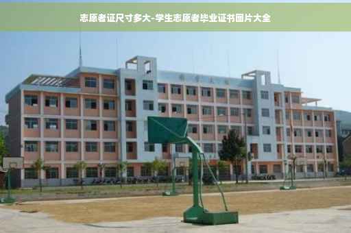 志愿者证尺寸多大-学生志愿者毕业证书图片大全