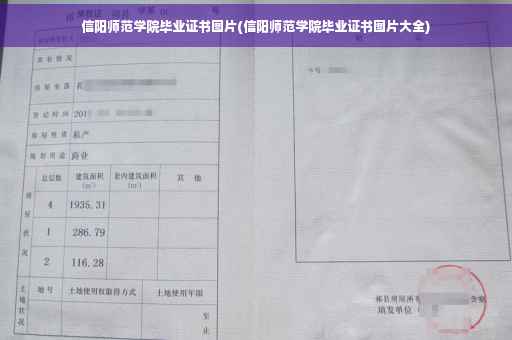 信阳师范学院毕业证书图片(信阳师范学院毕业证书图片大全)
