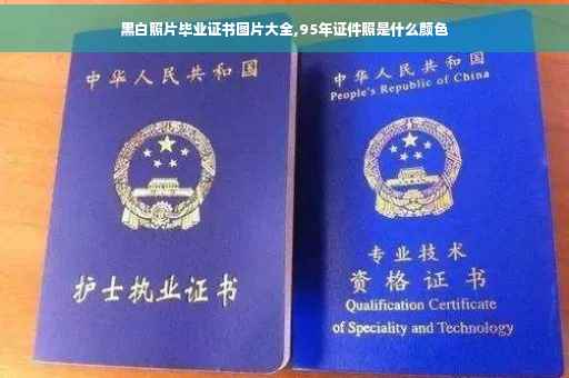 黑白照片毕业证书图片大全,95年证件照是什么颜色