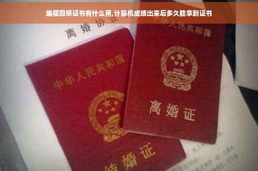 编程四级证书有什么用,计算机成绩出来后多久能拿到证书