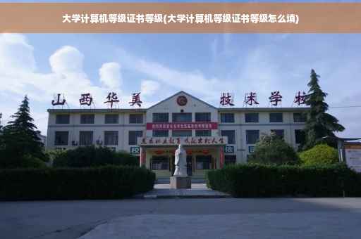 大学计算机等级证书等级(大学计算机等级证书等级怎么填)