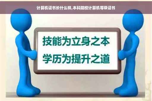 计算机证书长什么样,本科院校计算机等级证书
