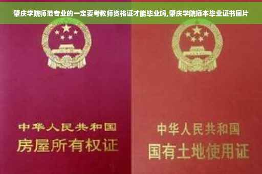 肇庆学院师范专业的一定要考教师资格证才能毕业吗,肇庆学院插本毕业证书图片