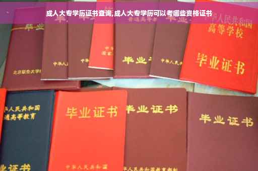 成人大专学历证书查询,成人大专学历可以考哪些资格证书