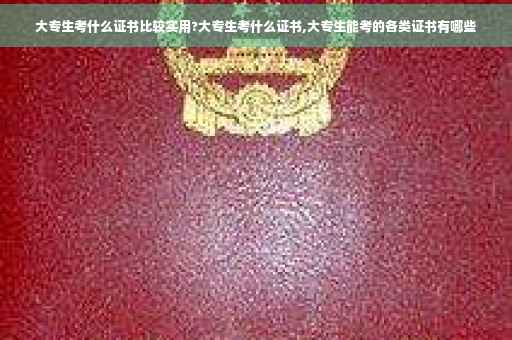 大专生考什么证书比较实用?大专生考什么证书,大专生能考的各类证书有哪些