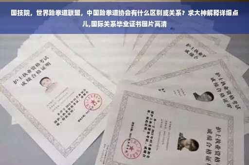 国技院，世界跆拳道联盟，中国跆拳道协会有什么区别或关系？求大神解释详细点儿,国际关系毕业证书图片高清