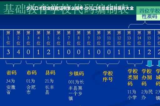 少儿口才职业技能证书怎么报考-少儿口才毕业证书图片大全