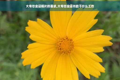 大专毕业证相片的要求,大专毕业证书能干什么工作