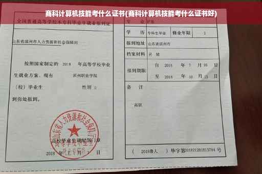 商科计算机技能考什么证书(商科计算机技能考什么证书好)