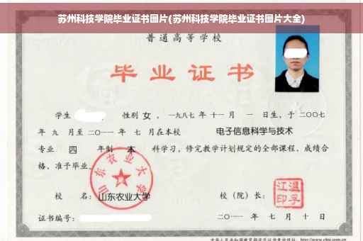 苏州科技学院毕业证书图片(苏州科技学院毕业证书图片大全)