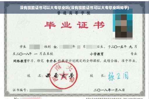 没有技能证书可以大专毕业吗(没有技能证书可以大专毕业吗知乎)