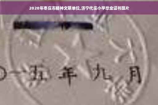 2020年枣庄市精神文明单位,济宁代庄小学毕业证书图片