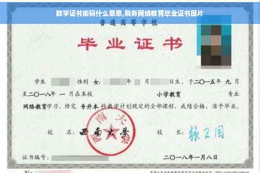 数字证书密码什么意思,税务网络教育毕业证书图片
