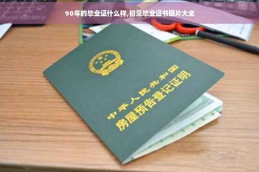 90年的毕业证什么样,初见毕业证书图片大全