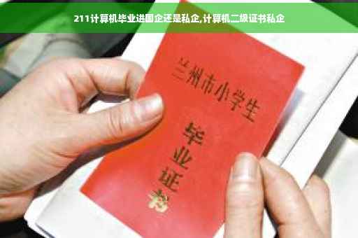211计算机毕业进国企还是私企,计算机二级证书私企