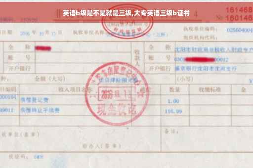 英语b级是不是就是三级,大专英语三级b证书