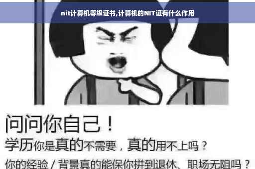 nit计算机等级证书,计算机的NIT证有什么作用