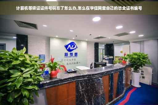 计算机等级证证件号码忘了怎么办,怎么在学信网查自己的毕业证书编号 计算机等级证证件号码忘了怎么办,怎么在学信网查自己的毕业证书编号