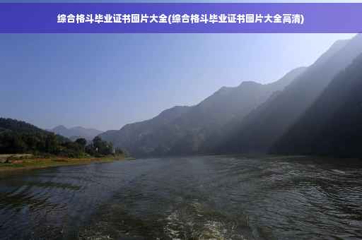 综合格斗毕业证书图片大全(综合格斗毕业证书图片大全高清)
