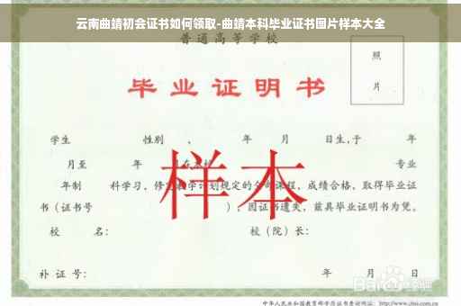 云南曲靖初会证书如何领取-曲靖本科毕业证书图片样本大全 云南曲靖初会证书如何领取-曲靖本科毕业证书图片样本大全