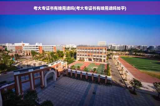 考大专证书有啥用途吗(考大专证书有啥用途吗知乎)