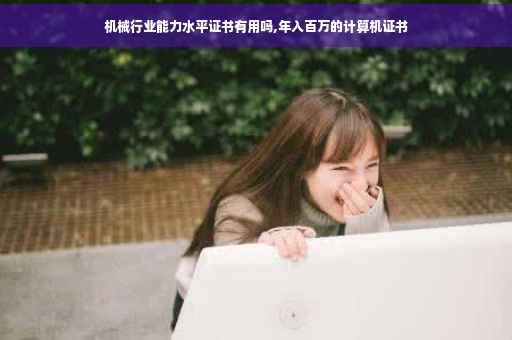 机械行业能力水平证书有用吗,年入百万的计算机证书