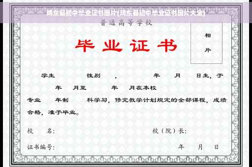 鸡东县初中毕业证书图片(鸡东县初中毕业证书图片大全)