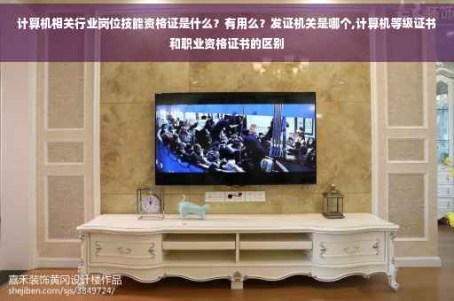 计算机相关行业岗位技能资格证是什么？有用么？发证机关是哪个,计算机等级证书和职业资格证书的区别