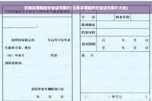 云南高等院校毕业证书图片(云南高等院校毕业证书图片大全)