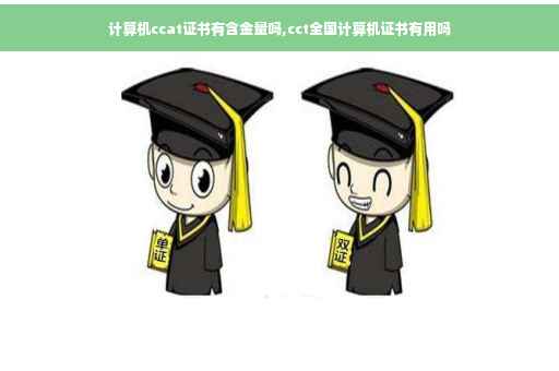 计算机ccat证书有含金量吗,cct全国计算机证书有用吗