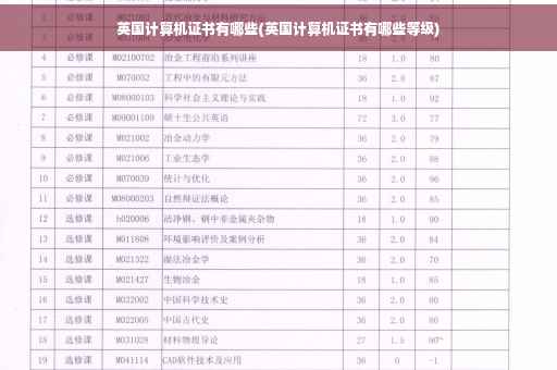 英国计算机证书有哪些(英国计算机证书有哪些等级)