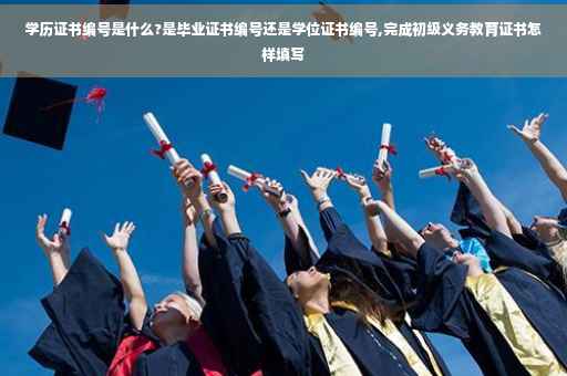 学历证书编号是什么?是毕业证书编号还是学位证书编号,完成初级义务教育证书怎样填写