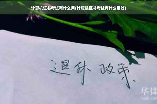 计算机证书考试有什么用(计算机证书考试有什么用处)
