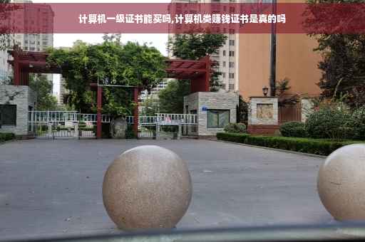 计算机一级证书能买吗,计算机类赚钱证书是真的吗