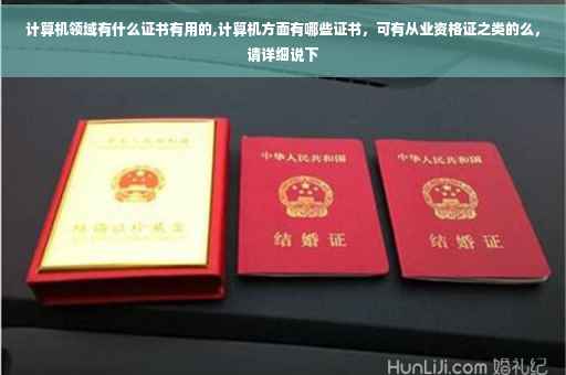 计算机领域有什么证书有用的,计算机方面有哪些证书，可有从业资格证之类的么，请详细说下